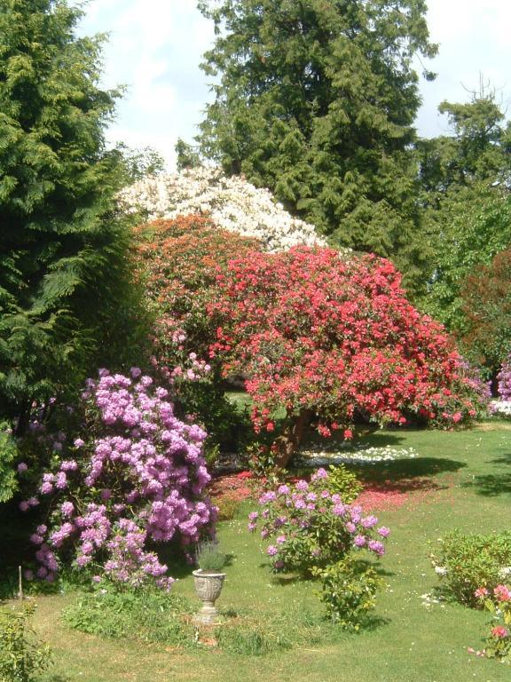 Bed and Breakfast Bruce Castle Brix Екстер'єр фото